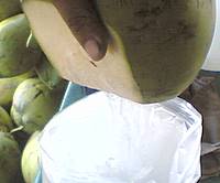 Coconut Juice