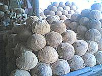 A typical coconut marketplace here in the Philippines Coconut Oil Uses