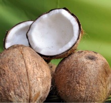 Coconut Massage Oil