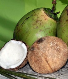 Coconut Oil Gingivitis