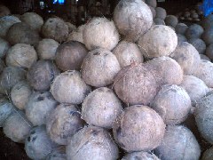 Coconut Oil Wholesale