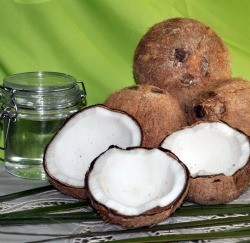 Buy coconut oil made from fresh mature coconuts. Buy coconut oil made from fresh mature coconuts.